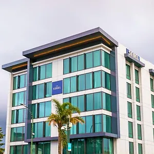 the-sebel-wellington-lower-hutt.wellingtonnzhotels.com/